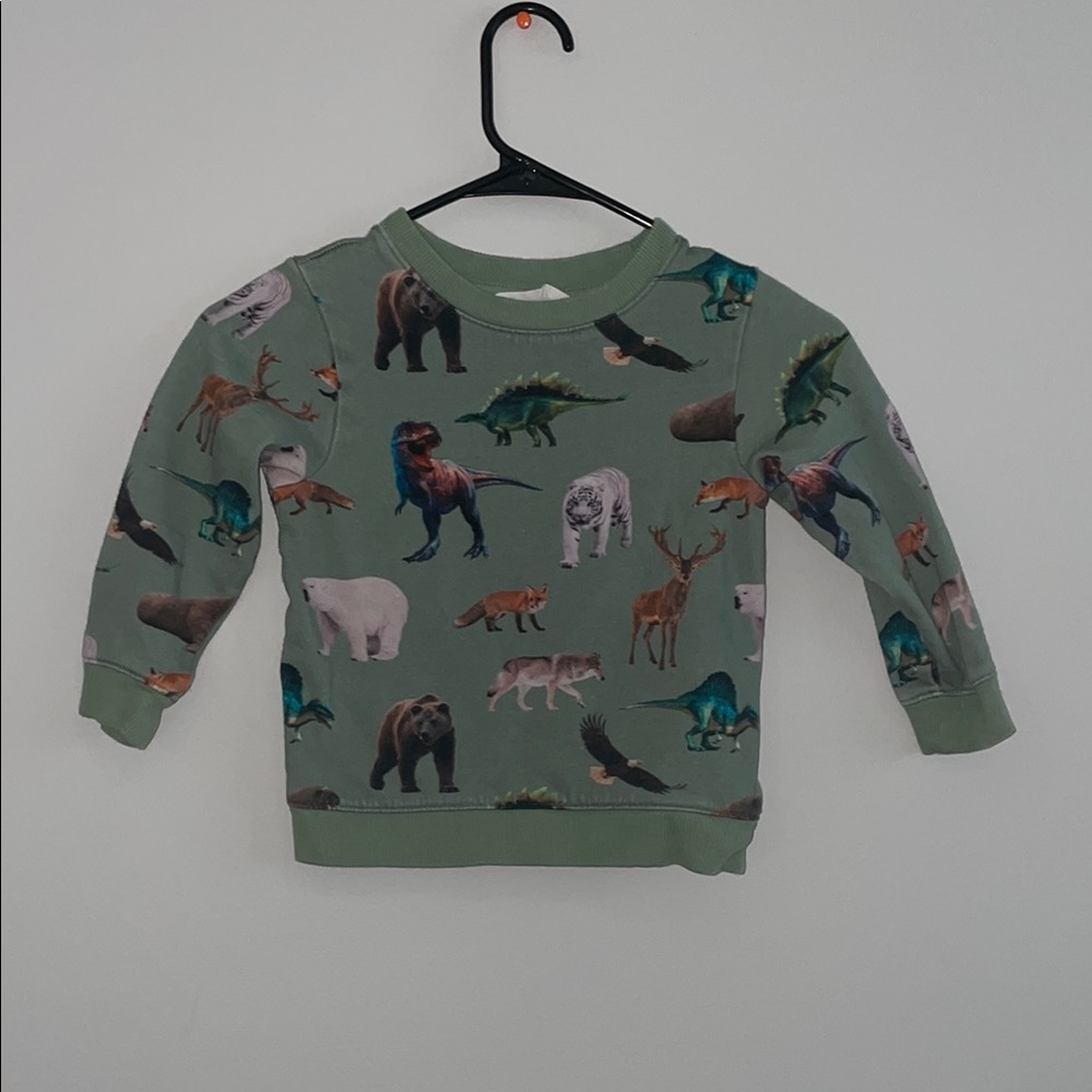 Boys Green Animal & Dinosaur Print Sweatshirt – Long Sleeve Pullover